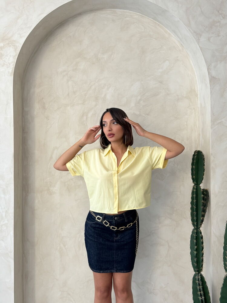 Butterfly Detailed Wholesale Shirt