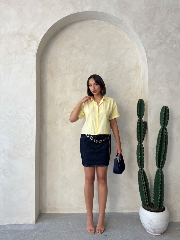 Butterfly Detailed Wholesale Shirt